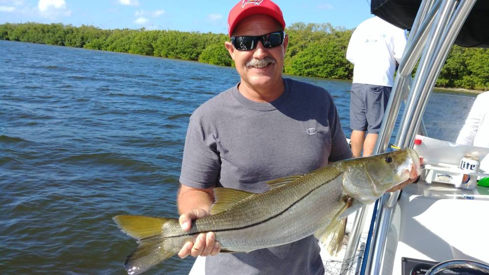 22467355_371029053353068_1269935269864566144_o